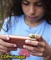 What about cell phone EMFs and children? (CPHD image) - RF Cafe