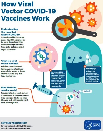 Viral Vector Vaccine Infographic (CDC) - RF Cafe