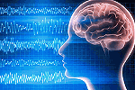 Human Brains Can Beam Radio Waves - RF Cafe