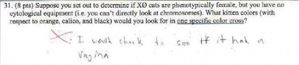 RF Cafe - Humerous test answer #2