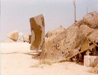 TPN-19: Operation Desert Storm