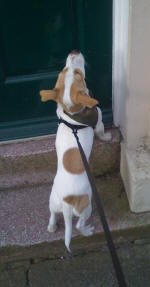 RF Cafe - Daveid  D's "Cutie Pi" best friend