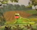 RF Cafe: "It's Not Easy Being Green" - Kermit the Frog