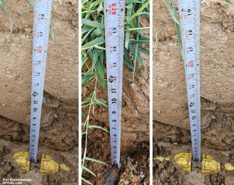 LP gas line burial depth - RF Cafe Website