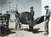 Army Studies Radio Wave Curvature, September 1956 Popular Electronics - RF Cafe