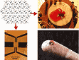 Bending Organic Semiconductor Can Boost Electrical Flow - RF Cafe Website