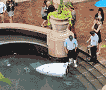 Security Robot Drowns Self in D.C. Water Fountain - RF Cafe
