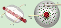 Transistors and Electronic Devices from Thread - RF Cafe