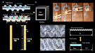 Coiled Conductive-Thread Actuators Emulate Muscle Motion - RF Cafe