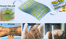 Flexible and Transparent Electronics Fabricated Using 2-D Semiconductor - RF Cafe