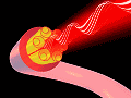 Hollow-Core Optical Fiber Clearer Than Glass
