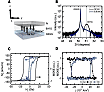 Magnetic Domain Wall Speed Found to Be Fundamentally Limited - RF Cafe Website