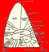 The Strange World of Color Vision, January 1958 Radio Electronics - RF Cafe