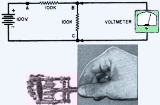Test Instruments Part 4: The Vacuum Tube Voltmeter - D.C. Ranges, April 1959 Popular Electronics - RF Cafe
