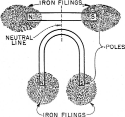 Magnets holding iron Filings - RF Cafe