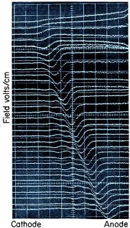 Low-mobility, high-energy electron domain passing through the Gunn device - RF Cafe