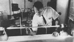 Long Laser Rod - RF Cafe