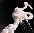 Space Shuttle Challenger - RF Cafe