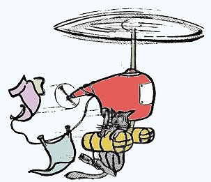 Suddenly the whirlybird appeared - a large and scrawny tomcat clinging to a pontoon - RF Cafe