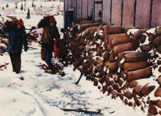 Concentrated radium ore ready for refining - RF Cafe